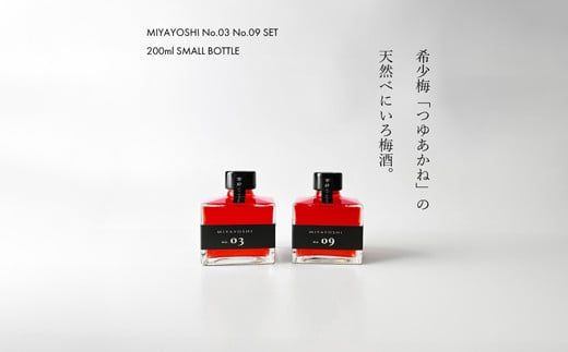 ya̎RLcsz969.MIYAYOSHI No.03E09 2P SET SMALL BOTTLEiA969-2j