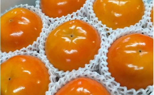 【先行予約】富有柿 2kg～2.5kg 6個入 至高の逸品 約1000個に１個！ 2025年10月下旬～2025年11月下旬頃に順次発送予定（お届け日指定不可）/ 和歌山 柿 かき フルーツ 果物 く【kgr013】