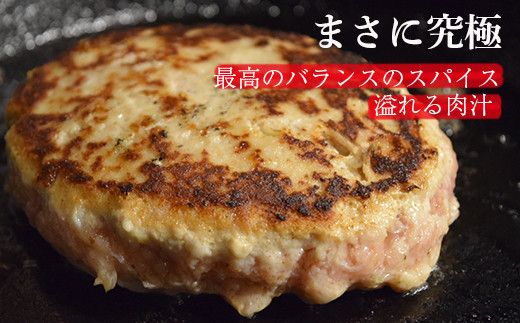 北島豚100％使用！ヨイッチーニ旨味ハンバーグ200g×5個〈ヨイッチーニ〉_Y020-0117