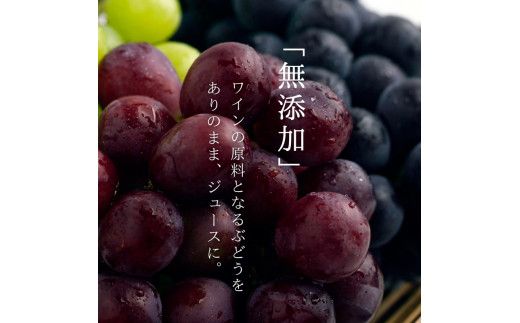 無添加 100％ストレート ぶどうジュース 180ml カベルネ・ナイアガラ 各1本 安芸農園_Y067-0148