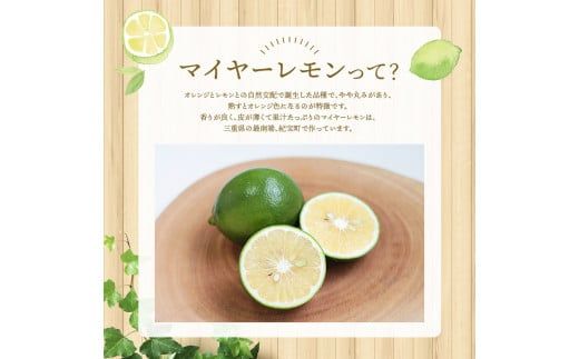 はぎファームの訳ありマイヤーレモン ３kg 【2025年10月～2026年1月下旬の期間で順次発送】 / レモン 国産 マイヤーレモン 数量限定  訳あり【hgf003A】