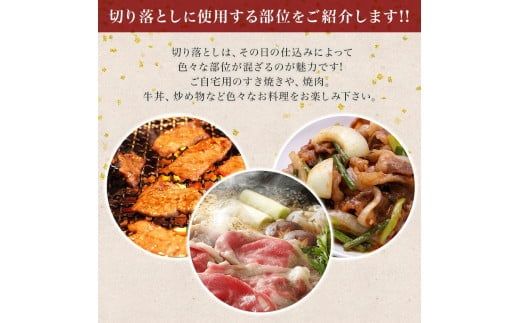 「肉の芸術品」飛騨牛切り落とし（モモ、肩、バラ）600g【用途は様々！焼肉、BBQ、すき焼き、煮物、牛丼、炒め物など】 F4N-1697