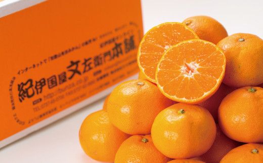 ブランド有田みかん【Ｌ】秀品10kg /／産地直送／薄皮で甘い美味しい和歌山県産／紀伊国屋文左衛門本舗　※2025年11月上旬～2026年1月中旬頃に順次発送（お届け日指定不可）【sgtb141C】