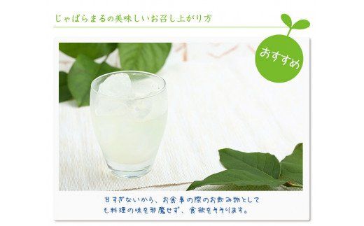 じゃばらドリンク12本セット 【njb121】