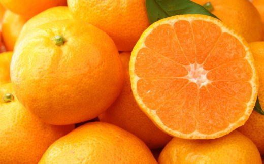 【食べごたえ十分】有田みかん大玉約9kg（3Lサイズ・秀品）　※2025年11月中旬～2026年1月中旬頃順次発送予定（お届け日指定不可）【tec879A】