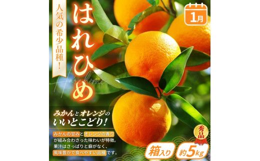 【定期便4回】フルーツ王国かつらぎ町よりお届け！旬のフルーツ定期便【kgr025】
