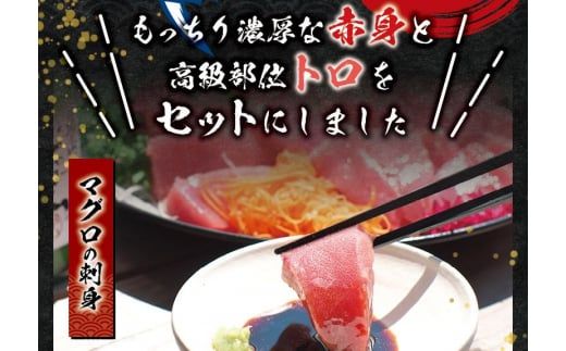 本マグロ（養殖）トロ＆赤身セット 240g 【12月26日～30日に発送】高級 クロマグロ  中トロ まぐろ マグロ 鮪 刺身 赤身 柵 本鮪 年内配送 年内発送 お正月 正月【nks113B-sg】