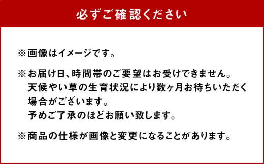 い草縄 猫伏（1畳）900mm×1,800mm カーペット ラグ マット い草 イ草 いぐさ イグサ 藺草 インテリア 九州産 国産 日本製