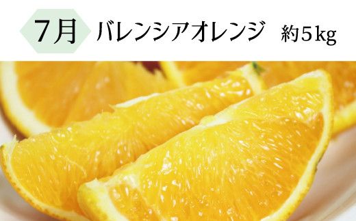 【全3回定期】暑い季節にお届け！果物定期便　バレンシアオレンジ・桃・柿　旬のフルーツをお届け♪【tkb142】