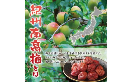 紀州南高梅　かつお【ハチミツ入】 塩分5%（1.5kg）なかやまさんちの梅干 【nky007-215k】