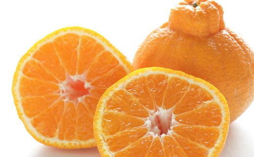 【濃厚】有田産不知火約4kg（2L～5Lサイズ混合）※2026年2月中旬～2026年3月下旬頃に発送予定（お届け日指定不可）【tec931A】