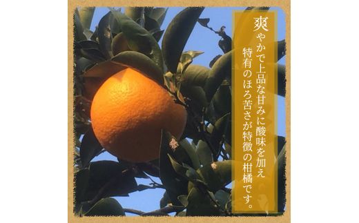 紀州和歌山産 八朔（はっさく） 約10kg ※2025年2月上旬頃〜下旬頃に順次発送 ※日付指定不可 八朔 はっさく 柑橘 果物 くだもの フルーツ