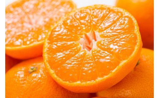 【予約受付】田村みかん 秀品 4kg サイズおまかせ/紀州和歌山有田郡湯浅町田村地区産 ◆2025年11月下旬～2026年1月中旬頃に順次発送(お届け日指定不可)紀伊国屋文左衛門本舗【sgtb307】