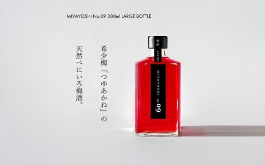 ya̎RLcsz968.MIYAYOSHI No.09 LARGE BOTTLEiA968-1j
