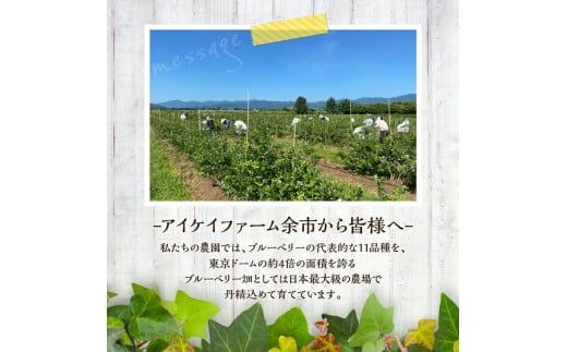 【2026年11月以降発送】冷凍ブルーベリー 500g×2袋（チャック付き袋） 北海道産ブルーベリー 余市産ブルーベリー  ブルーベリー 1kg フルーツ 冷凍フルーツ 果物__Y111-0007