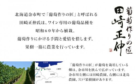 【北海道ワイン】【 葡萄作りの匠 田崎正伸 】 2種 飲み比べセット 余市 北海道 白ワイン 2本 セット ピノノワール ミュラートゥルガウ 余市のワイン 国産ワイン _Y020-0437