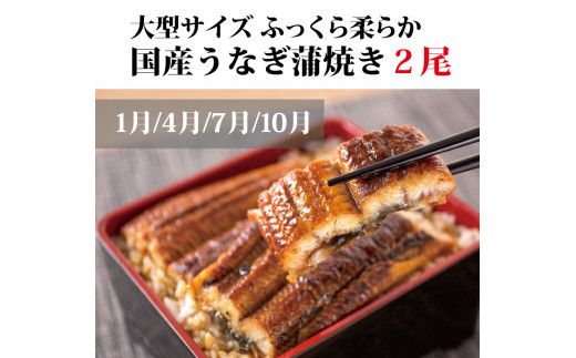 定期便 【3か月定期便】まんぞく定期便！うなぎ･高級和牛･マグロ　人気返礼品を3回お届け♪【tkb104】
