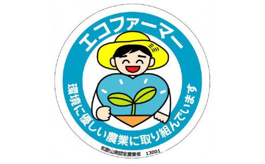 採れたてタネなし柿“2L”サイズ7.5kg＜2026年10月中旬～10月下旬頃発送予定＞【art020A】