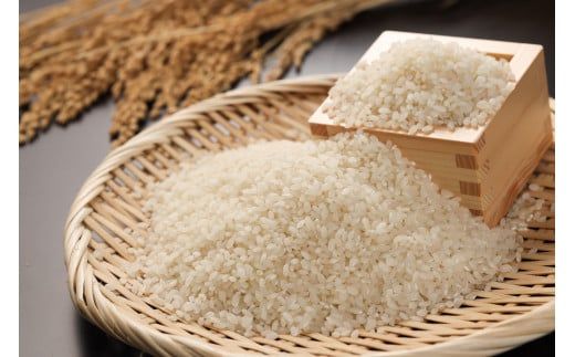 ＜テレビで紹介されました！＞令和7年度　新米【全6回定期便】皇室献上米『銀の朏』10kg 中津川市加子母産 栽培期間中化学肥料不使用 お米 新米 精米 F4N-1875