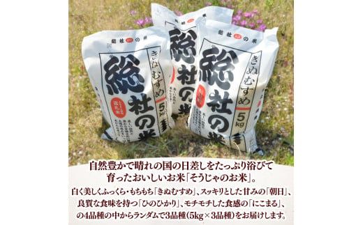 【令和7年産米】3種食べ比べ【精白米】30kg 定期便（15kg×2回）岡山県総社市〔令和7年11月・令和8年1月配送〕25-048-001