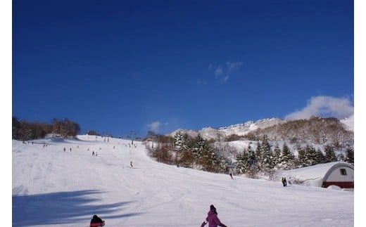 【ハチ北スキー場 リフト 1日券】（こども用（小学生以下）1枚 ハチ高原 ハチ北高原 共通リフト券 関西最大級のスキー場です。兵庫県 香美町 村岡 ハチ北スキー場 26-02