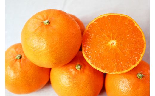 とろける食感！ジューシー柑橘　せとか　約3kg【予約】※2026年2月下旬頃〜2026年3月下旬頃発送(お届け日指定不可)【uot506A】