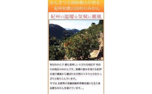 【ご家庭用訳あり】田村みかん　5kg　※2026年11月下旬～2027年1月下旬頃に順次発送予定(お届け日指定不可) 訳ありみかん 温州みかん【uot754A】
