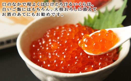 鮭いくら醤油漬け　250ｇ×2_Y006-0010