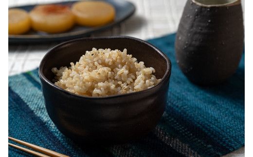 令和8年産　新米　仁淀ブルーの恵み「おち米」（玄米）20kg
