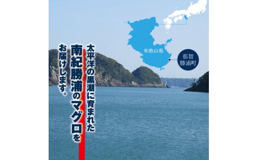 まぐろ とろ煮(180g)×15袋　まぐろ チャーシュー(1本約170g)×10袋　 南紀勝浦　【ttk003】