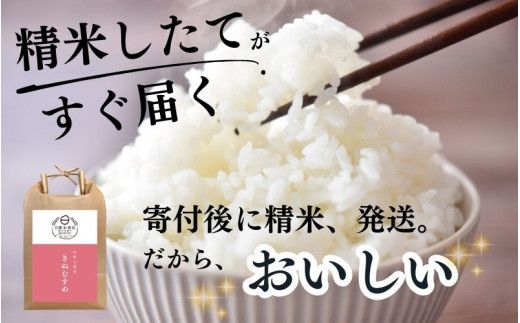 和歌山県産の お米 きぬむすめ 10kg (5kg×2袋) 〈令和6年度産〉 産地直送 / 米 こめ ご飯 ごはん 白米 国産 和歌山県産 小分け【hio104A】