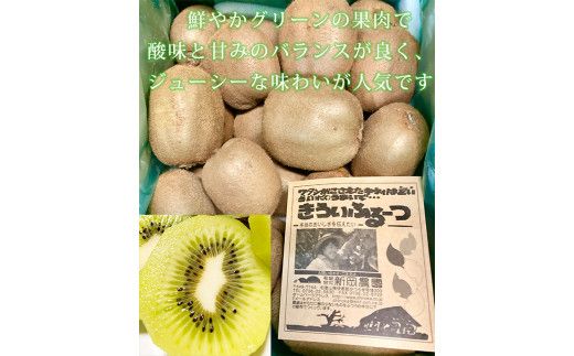 紀州かつらぎ山のキウイフルーツ約３ｋｇ ※※2027年1月下旬～2月上旬頃に順次発送予定(お届け日指定不可)【uot792】