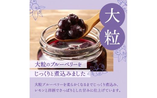 ブルーベリー コンポート 2本入_Y111-0003