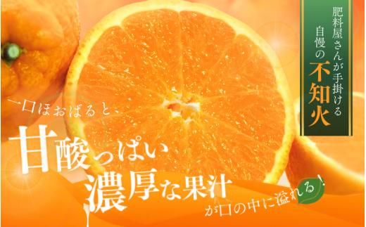 【先行予約】秀品 ハウス不知火 5kg【L～4Lのサイズおまかせ】【2026年1月下旬から2025年２月下旬頃に順次発送】＜味好農園＞/不知火 デコポン 蜜柑 みかん 柑橘 果物 フルーツ 【agy0