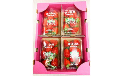 【来シーズン先行予約】紀州和歌山ブランドいちご「まりひめ」約２５０ｇ×４Ｐ　※2026年1月上旬頃～2026年3月上旬頃順次発送予定（お届け日指定不可）【uot758A】