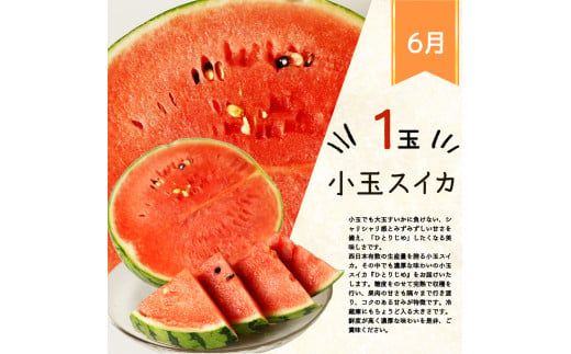 【全4回】紀州和歌山産旬のフルーツ定期便 (スイカ・桃・巨峰・シャインマスカット) / すいか スイカ もも 桃 白桃 巨峰 マスカット シャインマスカット 葡萄 ぶどう 果物 くだもの フルーツ フ