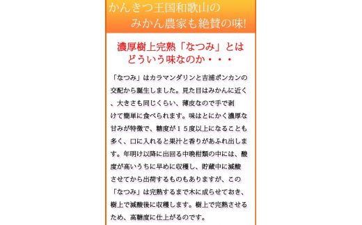 初夏のみかん　なつみ3kg　※2025年4月中旬〜2025年4月下旬頃に順次発送（お届け日指定不可）【uot753】