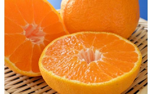 【大人気】和歌山有田の濃厚デコポン　15～24玉(約5kg)　※2027年1月下旬～3月下旬頃に順次発送予定【ard005C】