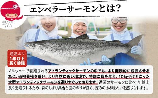  貴重！エンペラーサーモンの希少部位！ 1kg（約15枚入） 腹ビレ肉 通称「グリ」 1尾から2個しか取れない 脂乗り抜群 ふるさと納税 ハラス 鮭ハラス ふるさと納税 鮭 サーモン サケ シャケ お
