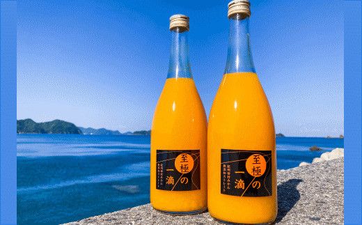 【無添加】田村みかんの新鮮100％ジュース「至極の一滴」720ml×2本入り 【tec934】