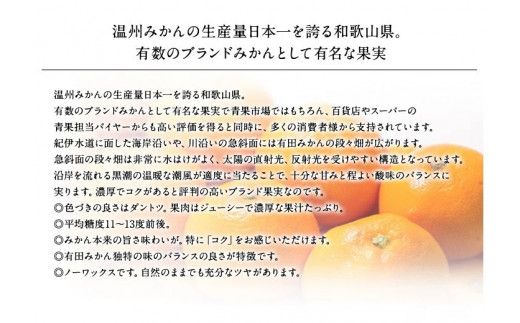 【予約受付】ブランド有田みかん　秀品5キロ/サイズお任せ　※2024年10月下旬～2025年1月中旬頃発送予定（お届け日指定不可）　紀伊国屋文左衛門本舗【ntbt140A】