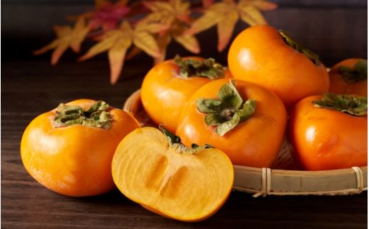 【2026年先行予約】種無し柿 早生刀根柿 2026年9月末頃～10月末頃に順次発送予定（お届け日指定不可）/ 和歌山 柿 かき フルーツ 果物 くだもの 刀根 種無し【kgr003A】