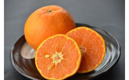 カラマンダリン 約2.8kg/サイズおまかせ　※2026年4月上旬～2026年5月上旬頃に順次発送予定(お届け日指定不可)　紀伊国屋文左衛門本舗【sgtb471B】