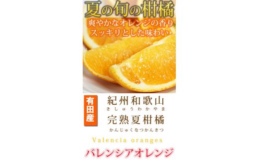 秀品　希少な国産バレンシアオレンジ　2.5kg　※2024年6月下旬頃～2024年7月上旬ごろ順次発送予定【uot752】