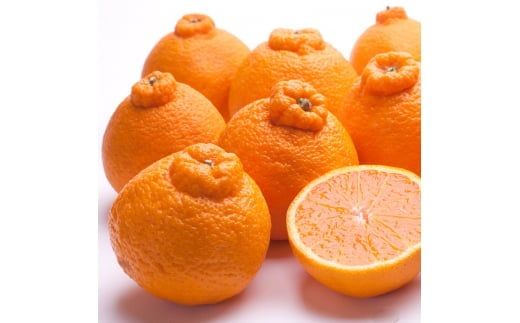 【先行予約】厳選不知火1kg+250g（傷み補償分）＜2月より発送＞/ みかん ミカン 有田みかん 柑橘 フルーツ 果物 和歌山 オレンジ【ikd207B】