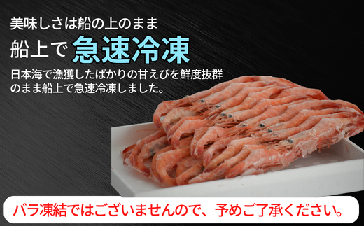 【船内冷凍 甘えび（あかえび）中サイズ40匹入り 】 700ｇ前後 冷凍 兵庫県香住産 日本海で水揚げされた鮮度抜群の甘えびを船内で急速冷凍しました。短時間で急速冷凍 細胞を壊さず、食品の美味しさをキ