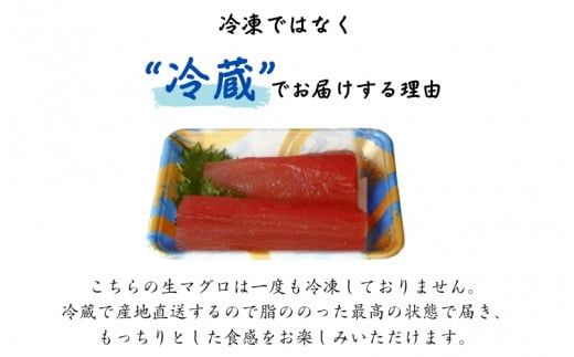 水揚げ高日本一！ 南紀勝浦産 生びんちょうまぐろ（刺身用サク) 約500g/マグロ まぐろ 鮪  ビンチョウマグロ びんながまぐろ 柵 刺身 冷蔵【nss407】