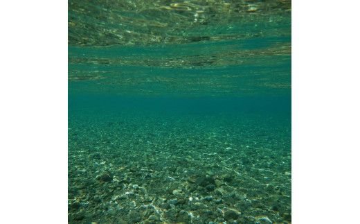 ラフティング券（アルティメットリバー 4名）