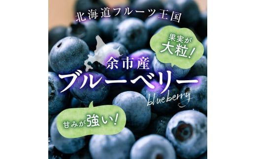 【先行予約：2026年8月上旬以降発送】フルーツ王国余市産 生ブルーベリー 1Kg【ニトリ観光果樹園】_Y074-0160