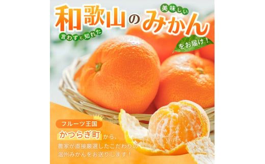 【先行予約】 和歌山県産温州みかん約5kg（約40個～60個）秀品　2026年11月初旬頃から2026年12月中旬頃順次発送予定【kgr032A】